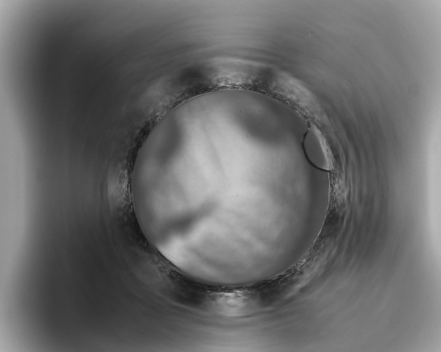 X0000096650411200802261325