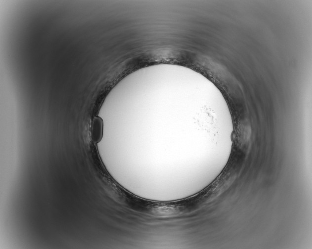 X0000096650413200802261325