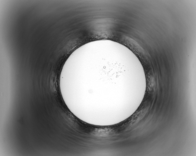 X0000096650414200802261325