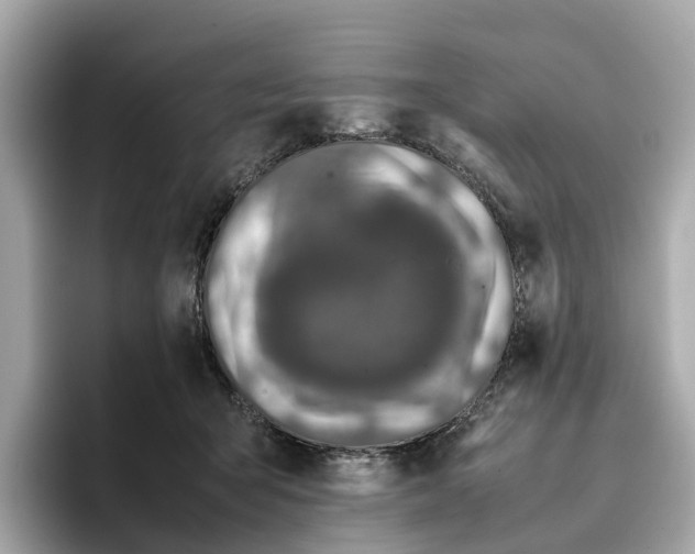 X0000096650415200802261325