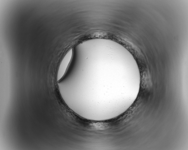 X0000096650417200802261325