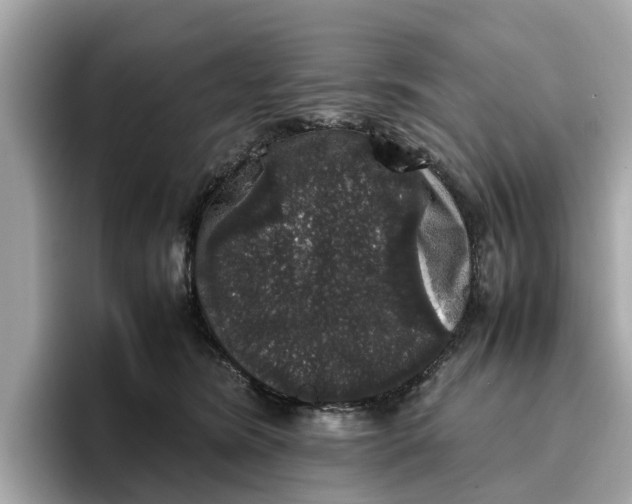 X0000096650420200802261325