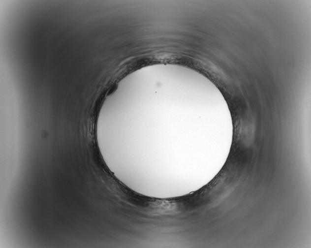 X0000096650421200802261325