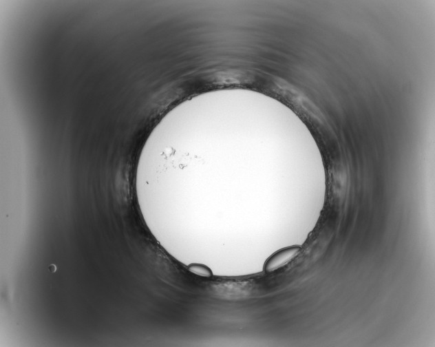 X0000096650422200802261325