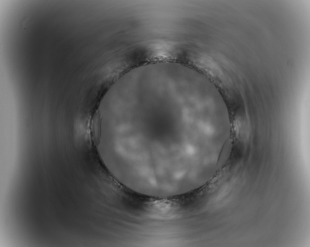 X0000096650423200802261325