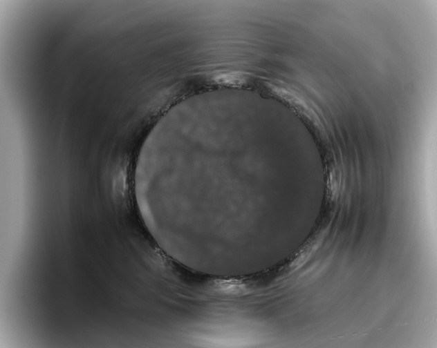 X0000096650424200802261325