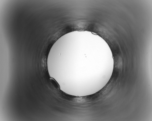 X0000096650425200802261325