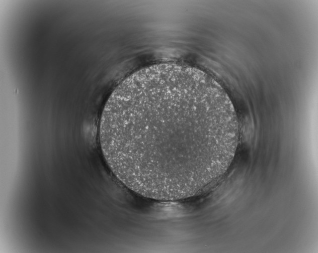 X0000096650427200802261325