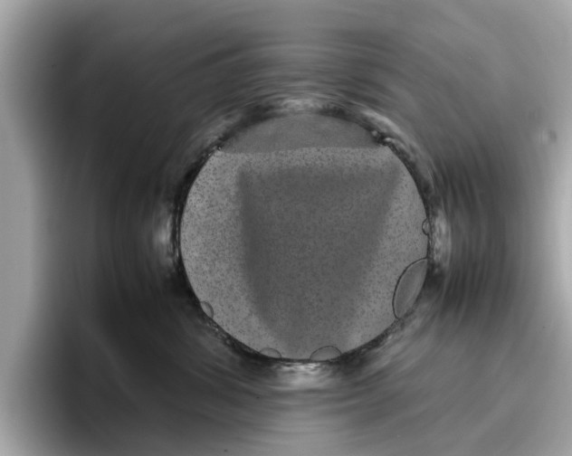 X0000096650428200802261325