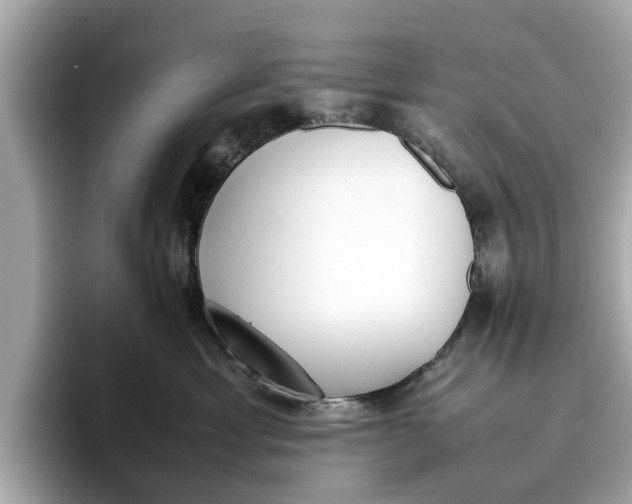 X0000096650429200802261325