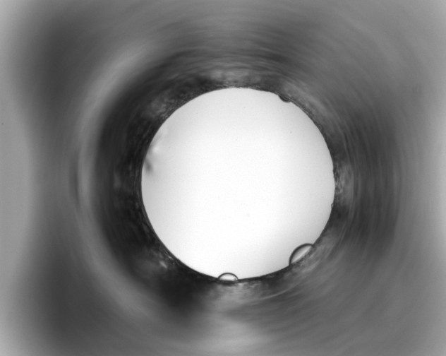 X0000096650430200802261325