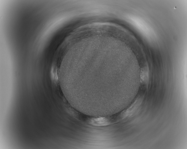 X0000096650431200802261325