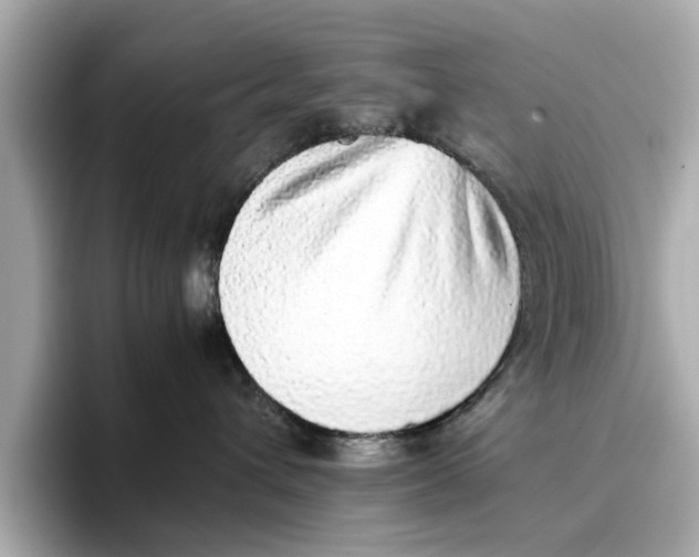 X0000096650432200802261325