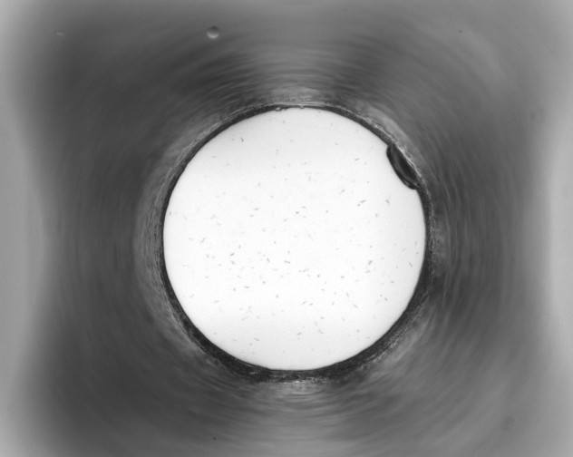 X0000096650433200802261324