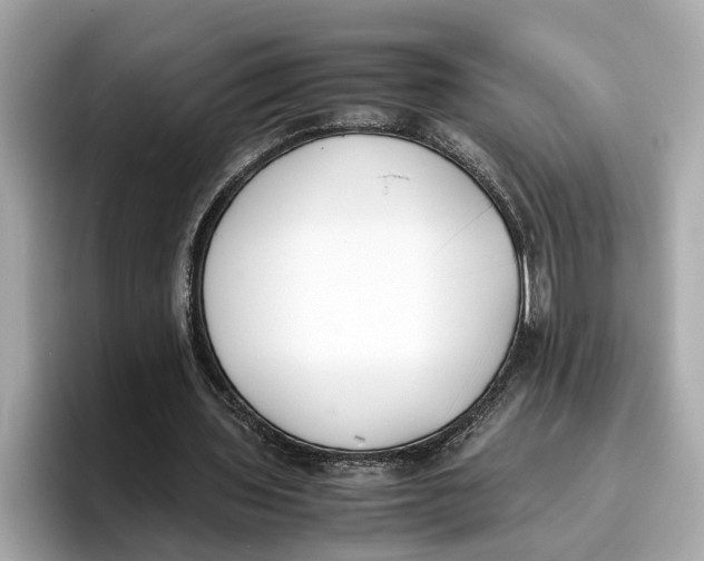 X0000096650435200802261324