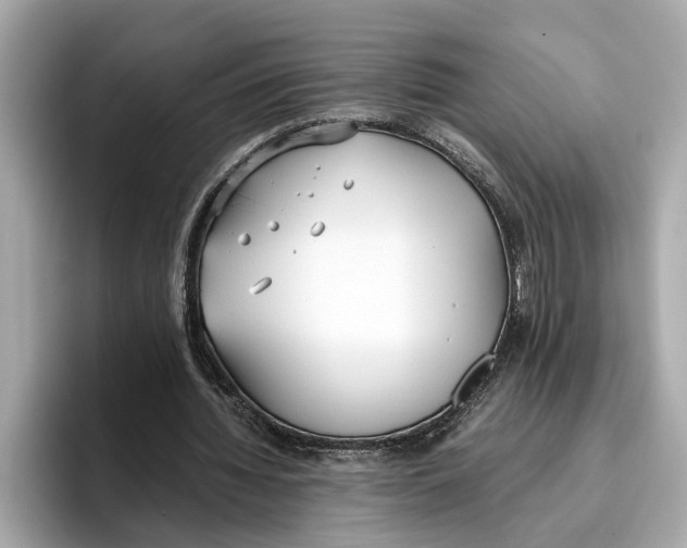 X0000096650436200802261324