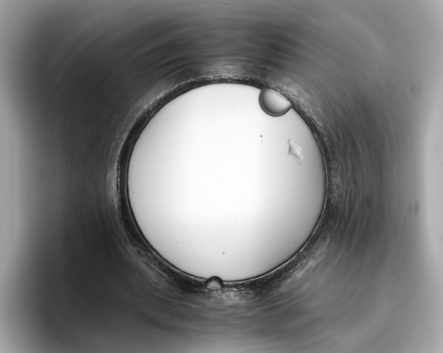 X0000096650439200802261324