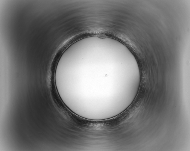 X0000096650440200802261324