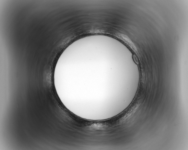 X0000096650441200802261324