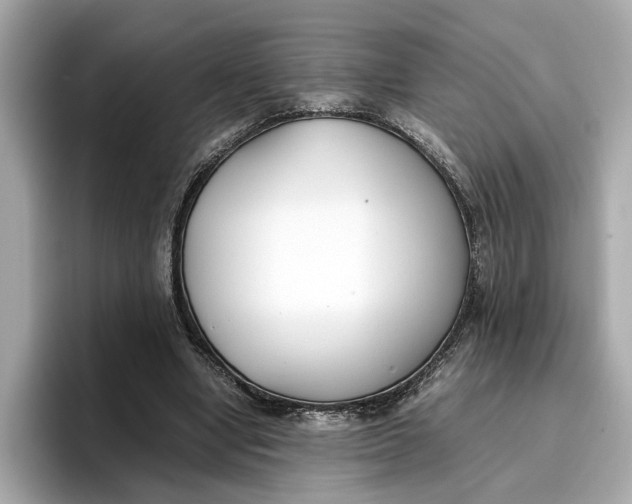 X0000096650442200802261324