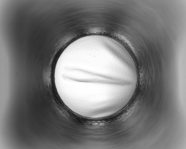 X0000096650443200802261324