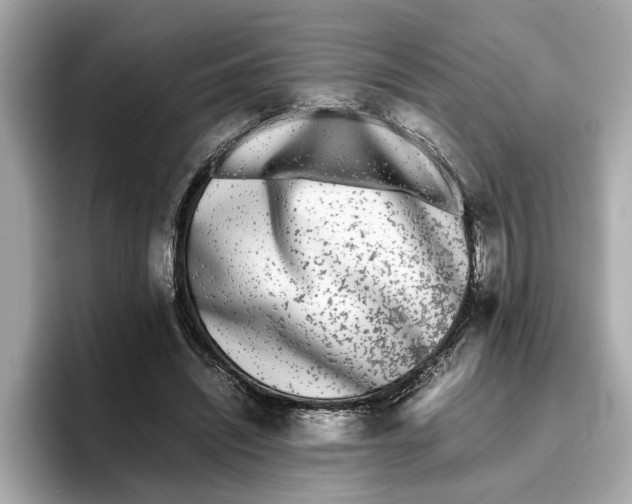 X0000096650444200802261324