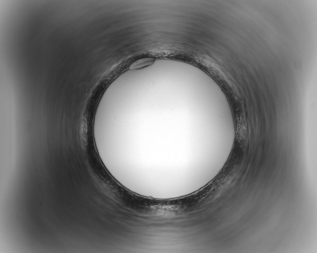 X0000096650448200802261324