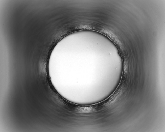 X0000096650449200802261324