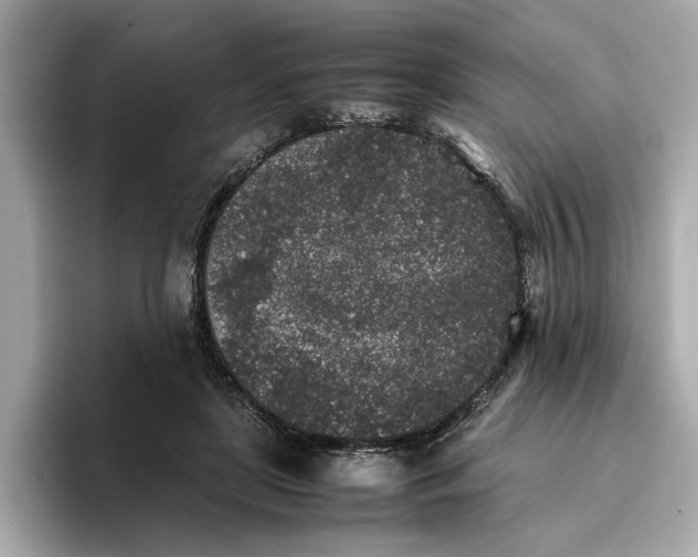 X0000096650451200802261324