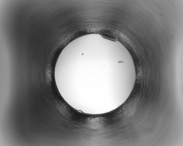 X0000096650452200802261324