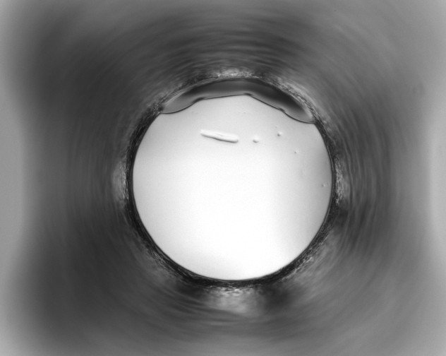 X0000096650453200802261324