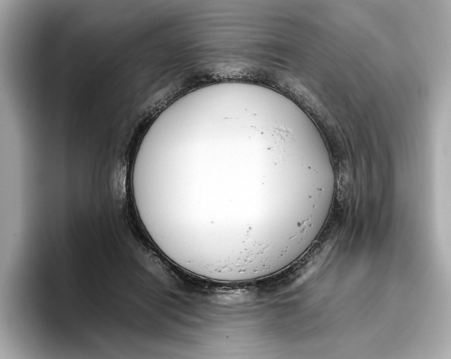 X0000096650454200802261324