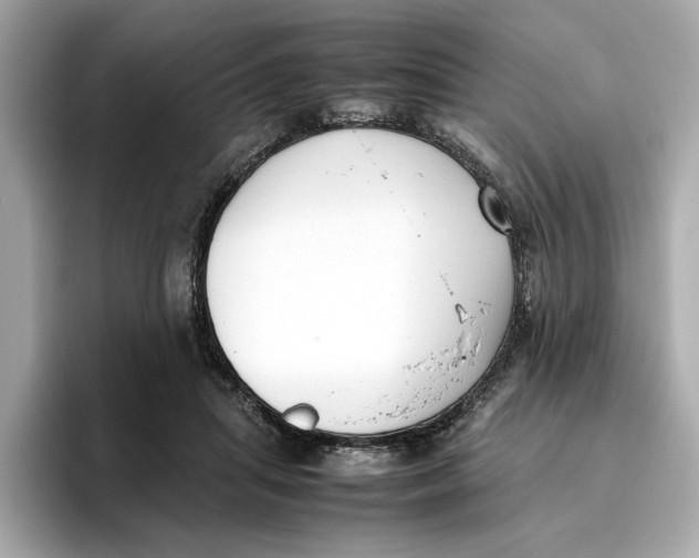 X0000096650455200802261324