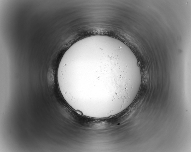 X0000096650456200802261324