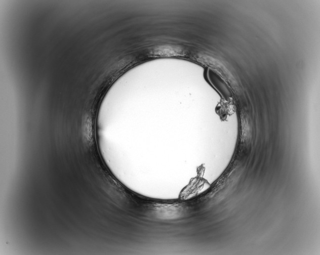 X0000096650457200802261324