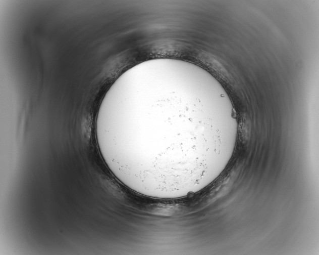 X0000096650458200802261324