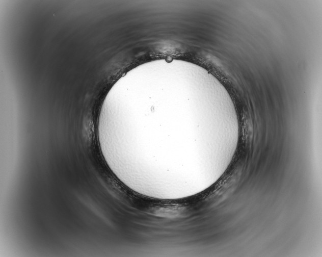 X0000096650459200802261324