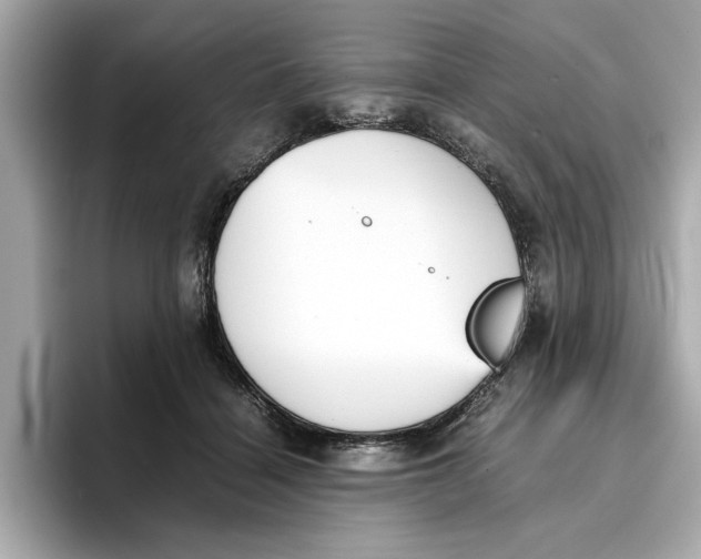 X0000096650460200802261324