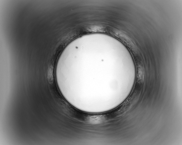 X0000096650461200802261324