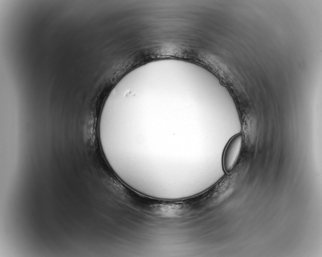 X0000096650462200802261324