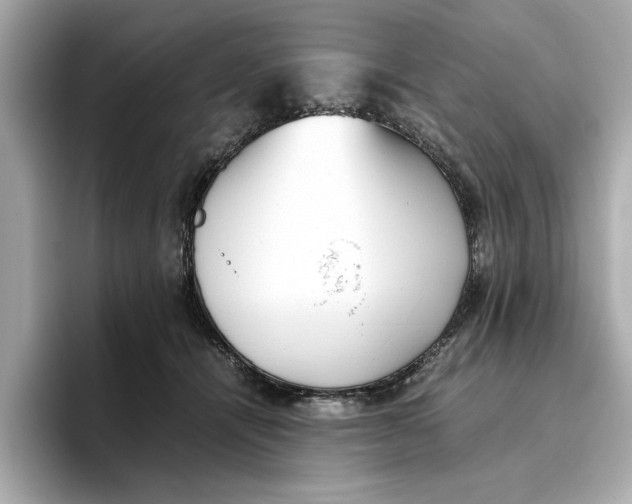 X0000096650464200802261324