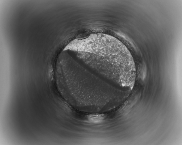 X0000096650465200802261324