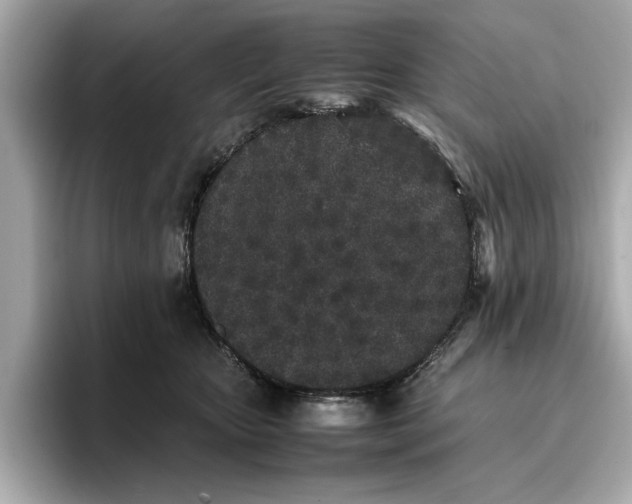 X0000096650467200802261324