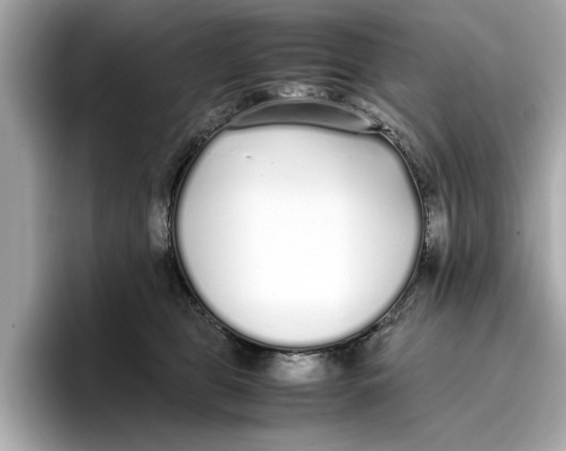 X0000096650469200802261324