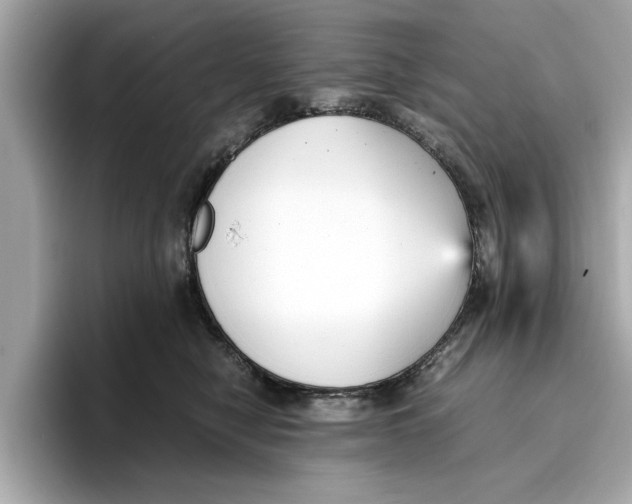 X0000096650470200802261324