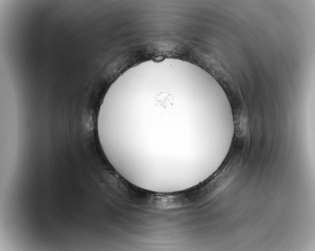 X0000096650472200802261324