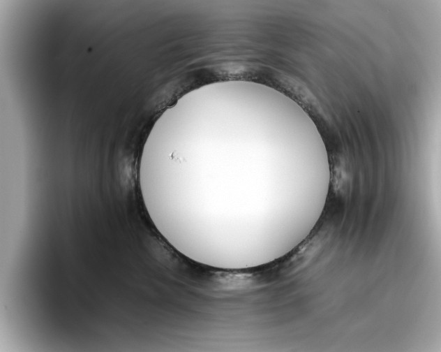 X0000096650476200802261324