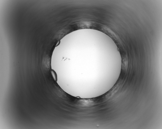 X0000096650477200802261324