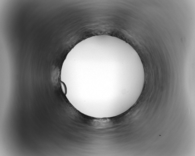 X0000096650480200802261324