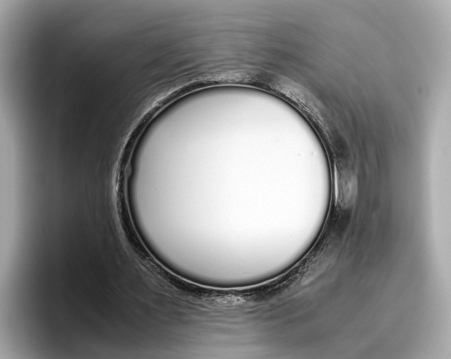 X0000096650483200802261324